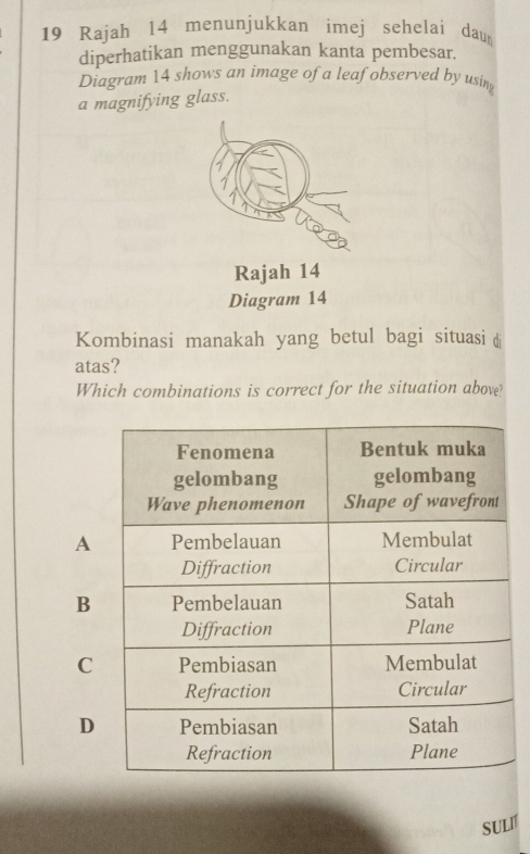 Rajah 14 menunjukkan imej sehelai dau
diperhatikan menggunakan kanta pembesar.
Diagram 14 shows an image of a leaf observed by using
a magnifying glass.
Rajah 14
Diagram 14
Kombinasi manakah yang betul bagi situasi dj
atas?
Which combinations is correct for the situation above?
A
B
C
D
sULI