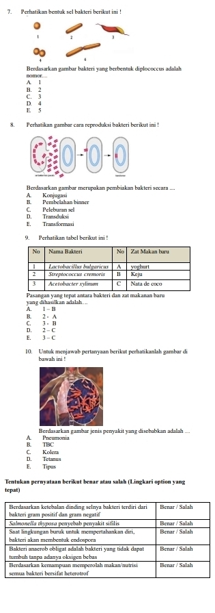 Perbatikan bentuk sel bakteri berikut ini !
Berdasarkan gambar bakteri yang berbentuk diplococcus adalah
A. 1 mX. . . .
B. 2
C. 3
D. 4 E 5
8. Perhatikan gambar cara reproduksi bakteri berikut ini !
Berdasarkan gambar merupakan pembiakan bakteri secara ....
B. Pembelahan binner A. Konjugas
C. Peleburan sel
D. Transduksi
E. Transformasi
9. Perhatikan tabel berikut ini !
Pasangan yang tepat antara bakteri dan zat makanan baru
yang dihasilkan adalah....
A. |-1
B. 2= A
C. 3-14
D. 2 - C
E. 3-C
10. Untuk menjawab pertanyaan berikut perhatikanlah gambar di
bawah ini !
Berdasarkan gambar jenis penyakit yang disebabkan adalah ....
B. TBC A. Pneumonia
C. Kolera
D. Tetanus
E. Tipus
Tentukan pernyataan berikut benar atau salah (Lingkari option yang
tepat)