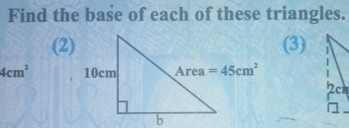 Find the base of each of these triangles.
(2)(3)
4cm^2