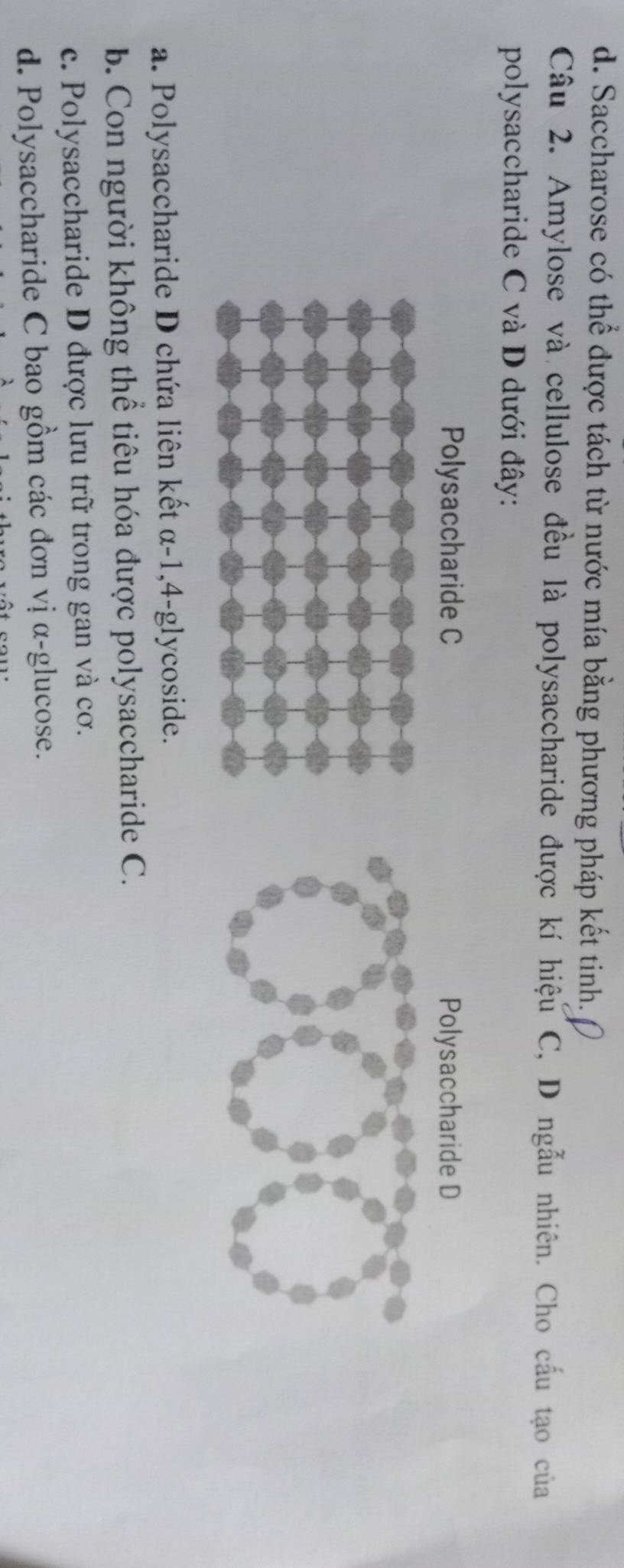 d. Saccharose có thể được tách từ nước mía bằng phương pháp kết tinh.
Câu 2. Amylose và cellulose đều là polysaccharide được kí hiệu C, D ngẫu nhiên. Cho cầu tạo của
polysaccharide C và D dưới đây:
Polysaccharide C Polysaccharide D
a. Polysaccharide D chứa liên kết α-1, 4 -glycoside.
b. Con người không thể tiêu hóa được polysaccharide C.
c. Polysaccharide D được lưu trữ trong gan và cơ.
d. Polysaccharide C bao gồm các đơn vị α-glucose.