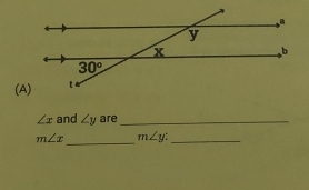 ∠ x and ∠ y are_
_
m∠ x m∠ y _