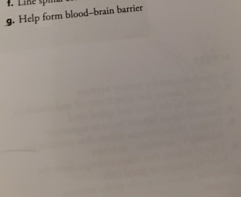 Line spm 
g. Help form blood-brain barrier