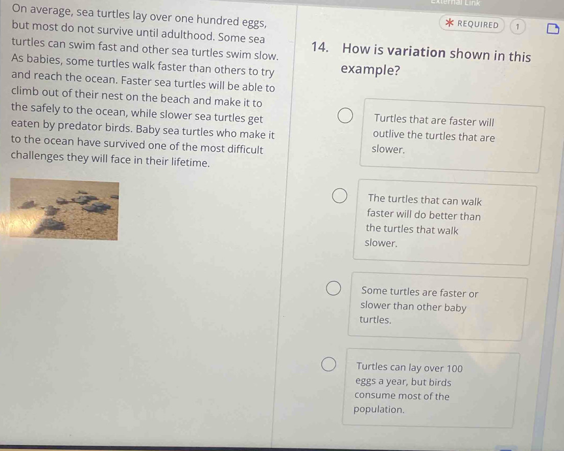 External Link
On average, sea turtles lay over one hundred eggs, REQUIRED 1
but most do not survive until adulthood. Some sea 14. How is variation shown in this
turtles can swim fast and other sea turtles swim slow.
As babies, some turtles walk faster than others to try example?
and reach the ocean. Faster sea turtles will be able to
climb out of their nest on the beach and make it to
the safely to the ocean, while slower sea turtles get
Turtles that are faster will
eaten by predator birds. Baby sea turtles who make it
outlive the turtles that are
to the ocean have survived one of the most difficult slower.
challenges they will face in their lifetime.
The turtles that can walk
faster will do better than
the turtles that walk
slower.
Some turtles are faster or
slower than other baby
turtles.
Turtles can lay over 100
eggs a year, but birds
consume most of the
population.