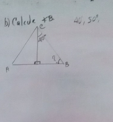 Calcde B. 40,50°