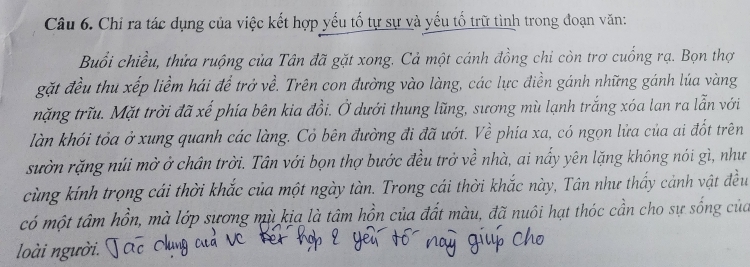 Chi ra tác dụng của việc kết hợp yếu tổ tự sự và yếu tổ trữ tình trong đoạn văn: 
Buổi chiều, thửa ruộng của Tân đã gặt xong. Cả một cánh đồng chi còn trơ cuống rạ. Bọn thợ 
gặt đều thu xếp liềm hái để trở về. Trên con đường vào làng, các lực điền gánh những gánh lúa vàng 
trnặng trĩu. Mặt trời đã xế phía bên kia đồi. Ở dưới thung lũng, sương mù lạnh trắng xóa lan ra lẫn với 
làn khói tỏa ở xung quanh các làng. Cỏ bên đường đi đã ướt. Về phía xa, có ngọn lửa của ai đốt trên 
sườn rặng núi mở ở chân trời. Tân với bọn thợ bước đều trở về nhà, ai nấy yên lặng không nói gì, như 
cùng kính trọng cái thời khắc của một ngày tàn. Trong cái thời khắc này, Tân như thấy cảnh vật đều 
có một tâm hồn, mà lớp sựơng mù kịa là tâm hồn của đất màu, đã nuôi hạt thóc cần cho sự sống của 
loài người.