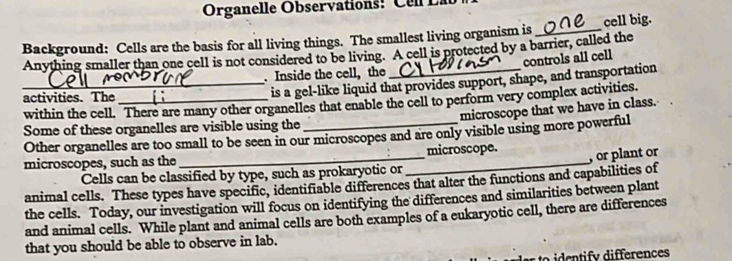 Organelle Observations: el L n 
Background: Cells are the basis for all living things. The smallest living organism is _cell big. 
Anything smaller than one cell is not considered to be living. A cell is protected by a barrier, called the 
controls all cell 
. Inside the cell, the 
activities. The_ 
_is a gel-like liquid that provides support, shape, and transportation 
within the cell. There are many other organelles that enable the cell to perform very complex activities. 
microscope that we have in class. 
Some of these organelles are visible using the 
Other organelles are too small to be seen in our microscopes and are only visible using more powerful 
microscopes, such as the_ _microscope. 
, or plant or 
Cells can be classified by type, such as prokaryotic or 
animal cells. These types have specific, identifiable differences that alter the functions and capabilities of 
the cells. Today, our investigation will focus on identifying the differences and similarities between plant 
and animal cells. While plant and animal cells are both examples of a eukaryotic cell, there are differences 
that you should be able to observe in lab.