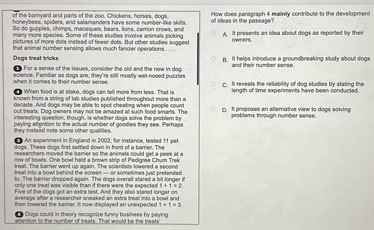 of the barnyard and parts of the zoo. Chickens, horses, dogs, How does paragraph 4 mainly contribute to the development
honeybees, spiders, and salamanders have some number-like skills. of ideas in the passage?
So do guppies, chimps, macaques, bears, lions, carrion crows, and A It presents an idea about dogs as reported by their
many more species. Some of these studies involve animals picking
pictures of more dots instead of fewer dots. But other studies suggest owners.
that animal number sensing allows much fancier operations. . . .
Dogs treat tricks B. It helps introduce a groundbreaking study about dogs
For a sense of the issues, consider the old and the new in dog and their number sense.
science. Familiar as dogs are, they're still mostly wet-nosed puzzles
when it comes to their number sense. C. It reveals the reliability of dog studies by stating the
When food is at stake, dogs can tell more from less. That is length of time experiments have been conducted.
known from a string of lab studies published throughout more than a
decade. And dogs may be able to spot cheating when people count
out treats. Dog owners may not be amazed at such food smarts. The D. It proposes an alternative view to dogs solving
interesting question, though, is whether dogs solve the problem by problems through number sense.
paying attention to the actual number of goodies they see. Perhaps
they insteed note some other qualities.
An experiment in England in 2002, for instance, tested 11 pet
dogs. These dogs first settled down in front of a barrier. The
researchers moved the barrier so the animals could get a peek at a
row of bowls. One bowl held a brown strip of Pedigree Chum Trek
treat. The barrier went up again. The scientists lowered a second
treat into a bowl behind the screen — or sometimes just pretended
to. The barrier dropped again. The dogs overall stared a bit longer if
only one treat was visible than if there were the expected 1+1=2.
Five of the dogs got an extra test. And they also stared longer on
average after a researcher sneaked an extra treat into a bowl and
then lowered the barrier. It now displayed an unexpected 1+1=3.
Dogs could in theory recognize funny business by paying
attention to the number of treats. That would be the treats'