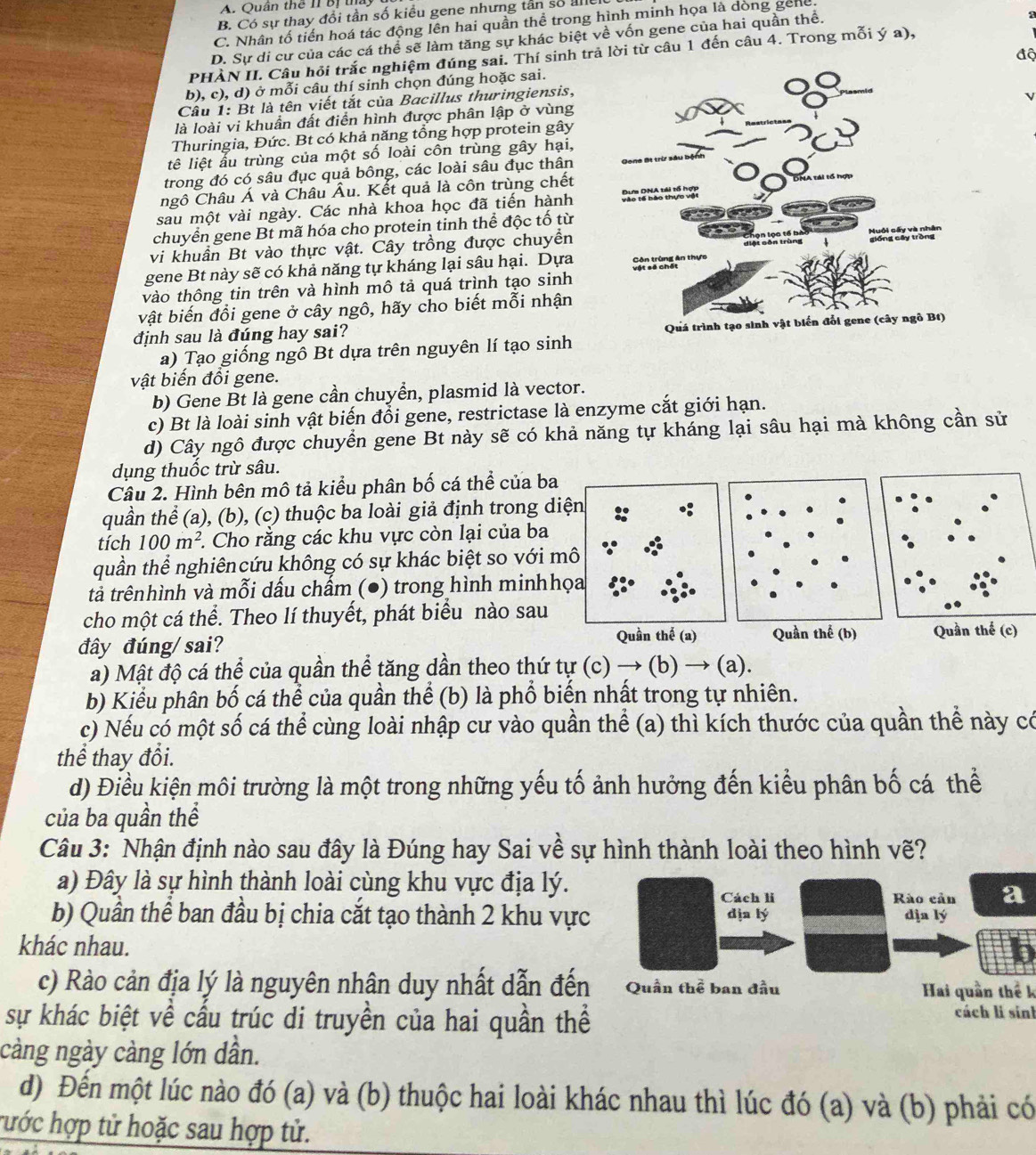 Quân thể II Bị tha
B. Có sự thay đổi tần số kiểu gene nhưng tân số al
C. Nhân tố tiến hoá tác động lên hai quần thể trong hình minh họa là dòng geng
D. Sự di cư của các cá thể sẽ làm tăng sự khác biệt về vốn gene của hai quần thể.
độ
PHÀN II. Câu hỏi trắc nghiệm đúng sai. Thí sinh trả lời từ câu 1 đến câu 4. Trong mỗi ý a),
b), c), d) ở mỗi câu thí sinh chọn đúng hoặc sai.
Câu 1: Bt là tên viết tắt của Bacillus thuringiensis,
v
là loài vi khuẩn đất điển hình được phân lập ở vùng
Thuringia, Đức. Bt có khả năng tổng hợp protein gây
lệ liệt ấu trùng của một số loài côn trùng gây hại,
trong đó có sâu đục quả bông, các loài sâu đục thân
Chgô Châu Á và Châu Âu. Kết quả là côn trùng chết
sau một vài ngày. Các nhà khoa học đã tiến hành
chuyển gene Bt mã hóa cho protein tinh thể độc tố từ
vi khuẩn Bt vào thực vật. Cây trồng được chuyển
gene Bt này sẽ có khả năng tự kháng lại sâu hại. Dựa
vào thông tin trên và hình mô tả quá trình tạo sinh
vật biến đồi gene ở cây ngô, hãy cho biết mỗi nhận
định sau là đúng hay sai?
a) Tạo giống ngô Bt dựa trên nguyên lí tạo sinh
vật biến đồi gene.
b) Gene Bt là gene cần chuyển, plasmid là vector.
c) Bt là loài sinh vật biến đồi gene, restrictase là enzyme cắt giới hạn.
d) Cây ngô được chuyển gene Bt này sẽ có khả năng tự kháng lại sâu hại mà không cần sử
dụng thuốc trừ sâu.
Câu 2. Hình bên mô tả kiểu phân bố cá thể của ba
quần thể (a), (b), (c) thuộc ba loài giả định trong diện
tích 100m^2. Cho răng các khu vực còn lại của ba
quần thể nghiêncứu không có sự khác biệt so với mô
tả trênhình và mỗi dấu chẩm (●) trong hình minhhọ
cho một cá thể. Theo lí thuyết, phát biểu nào sau
đây đúng/sai?  Quần thế (c)
a) Mật độ cá thể của quần thể tăng dần theo thứ tự (c) → (b) → (a).
b) Kiểu phân bố cá thể của quần thể (b) là phổ biển nhất trong tự nhiên.
c) Nếu có một số cá thể cùng loài nhập cư vào quần thể (a) thì kích thước của quần thể này có
thể thay đổi.
d) Điều kiện môi trường là một trong những yếu tố ảnh hưởng đến kiểu phân bố cá thể
của ba quần thể
Câu 3: Nhận định nào sau đây là Đúng hay Sai về sự hình thành loài theo hình vẽ?
a) Đây là sự hình thành loài cùng khu vực địa lý.
b) Quần thể ban đầu bị chia cắt tạo thành 2 khu vực
khác nhau.
c) Rào cản địa lý là nguyên nhân duy nhất dẫn đếnHai quần thể k
sự khác biệt về cầu trúc di truyền của hai quần thểcách li sinh
càng ngày càng lớn dần.
d) Đến một lúc nào đó (a) và (b) thuộc hai loài khác nhau thì lúc đó (a) và (b) phải có
hước hợp tử hoặc sau hợp tử.