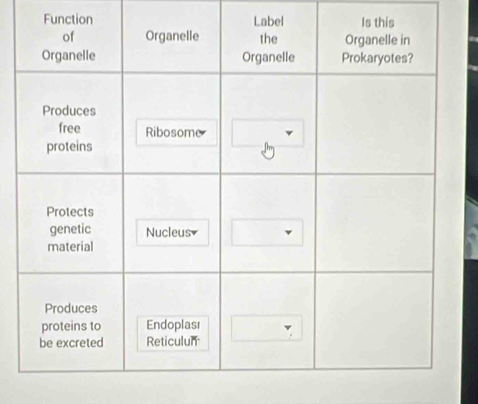 Function Label