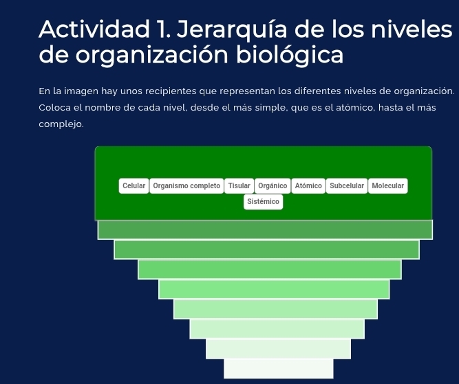 Actividad 1. Jerarquía de los niveles
de organización biológica
En la imagen hay unos recipientes que representan los diferentes niveles de organización.
Coloca el nombre de cada nivel, desde el más simple, que es el atómico, hasta el más
complejo.
Celular Organismo completo Tisular Orgánico Atómico Subcelular Molecular
Sistémico