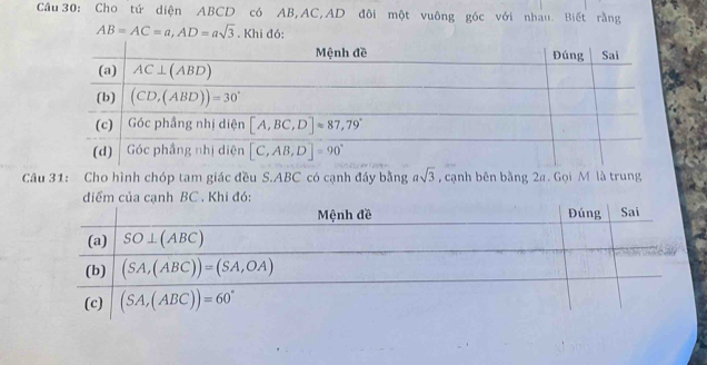 Cho tứ diện ABCD có AB,AC,AD đôi một vuông góc với nhau. Biết rằng
AB=AC=a,AD=asqrt(3). Khi đó:
Câu 31: Cho hình chóp tam giác đều S.ABC có cạnh đầy bằng asqrt(3) , cạnh bên bằng 2a. Gọi M là trung
điểm của cạnh BC . Khi đó: