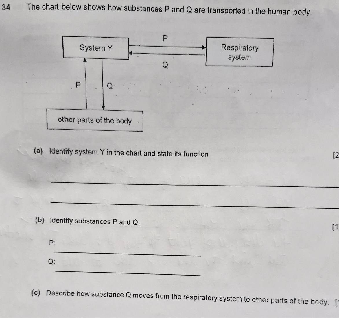 The chart below shows how substances P and Q are transported in the human body. 
(a) Identify system Y in the chart and state its function 
[2 
_ 
_ 
(b) Identify substances P and Q. 
[1 
P: 
_ 
Q: 
_ 
(c) Describe how substance Q moves from the respiratory system to other parts of the body. [