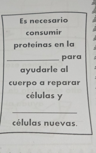 Es necesario 
consumir 
proteínas en la 
_para 
ayudarle al 
cuerpo a reparar 
células y 
_ 
células nuevas.