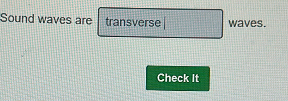 Sound waves are transverse waves. 
Check It