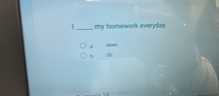 my homework everyday.
a does
b do
14