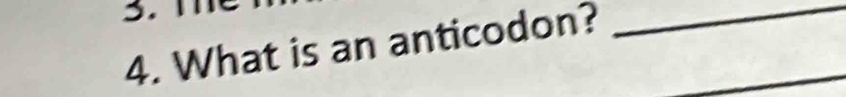 What is an anticodon?_