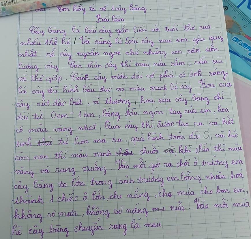 oat: Omhay tà vè leay Gāng. 
Bai Cam 
Bay Bàng Ca bāi cāg gán eièn zài tuòi thà eng 
whièi thē hē / Vā aing ea loai cay ma em you guy 
mhat. né cáy ngoàn maoe whu whíng con nàn wán 
liong pay. on thān cáy thi mau máu nám, nán xui 
wā tho giāp. Cànn eág pun dāi vè phā eǒ ánà náng, 
la cay thi hnh Bāu duá wa màu bcanà Pn cā, flóa eua 
eāu nàt dāo Giet, vì thuōng, hou eia eag Bāng chi 
dāi hì Ocm tem, Bāng dāu ngon tay cia em, hoa 
eó mai vàng what, Qua eay thi duào tao na vù ket 
ing tì hod mà na, quá hinh trn dāi O, và lué 
con non thi mau xcanh chuái , Zhú chin thi man 
hāng và nung zuóng Yáo mài giō nǎ chéi d tulong em 
bag Bāng to Cón Zrong màn toulǒng em Bōng wínin hoā 
thanh 1 chiec o tón, the mǎng, che màa chobon em, 
Zhong no maa, Zhong ao màng miā. Yáo mài muà 
he eay Dāng chugen mang Da ma