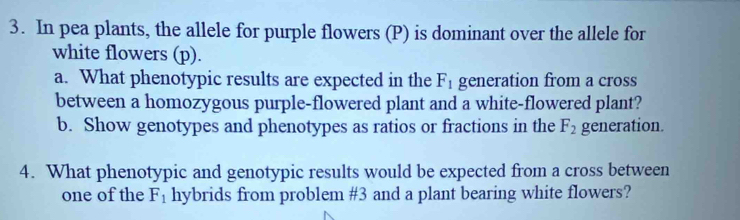 In pea plants, the allele for purple flowers (P) is dominant over the allele for 
white flowers (p). 
a. What phenotypic results are expected in the F_1 generation from a cross 
between a homozygous purple-flowered plant and a white-flowered plant? 
b. Show genotypes and phenotypes as ratios or fractions in the F_2 generation. 
4. What phenotypic and genotypic results would be expected from a cross between 
one of the F_1 hybrids from problem #3 and a plant bearing white flowers?