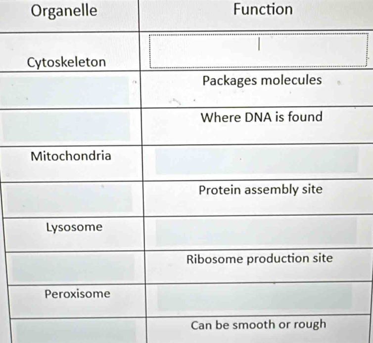 Organelle Function