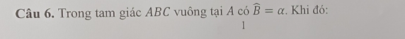 Trong tam giác ABC vuông tại A có widehat B=alpha. Khi đó: 
1