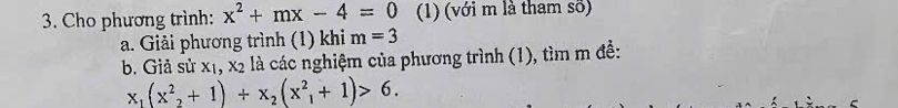 Cho phương trình: x^2+mx-4=0 (1) (với m là tham sõ) 
a. Giải phương trình (1) khi m=3
b. Giả sử x_1, x_2 là các nghiệm của phương trình (1), tìm m đề:
x_1(x^2_2+1)+x_2(x^2_1+1)>6.