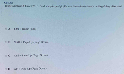 Trong Microsoft Excel 2013, để di chuyển qua lại giữa các Worksheet (Sheet), ta dùng tổ hợp phim nào?
A Ctrl+Home(End)
B Shift+PageUp(PageDown)
C Ctrl+PageUp(PageDoun)
D Alt+PageUp(Page Down