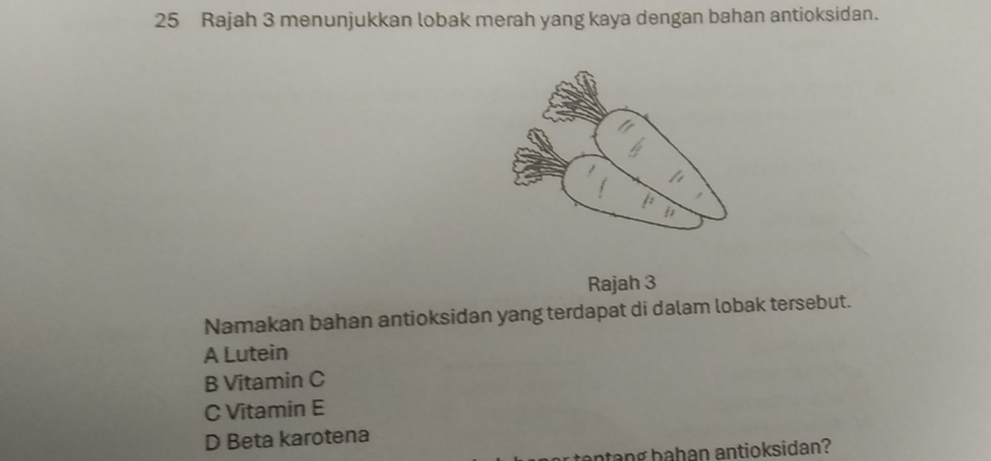 Rajah 3 menunjukkan lobak merah yang kaya dengan bahan antioksidan.
Rajah 3
Namakan bahan antioksidan yang terdapat di dalam lobak tersebut.
A Lutein
B Vitamin C
C Vitamin E
D Beta karotena
r tentang bahan antioksidan?