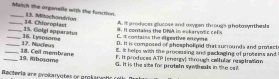 Match the organelle with the function.
13. Mitochondrion
_14. Chioroplast
A. It produces glucose and oxygen through photosynthesis
_15. Golgi apparatus
B. it contains the DNA in eukaryotic cells
_16. Lysosome
C. It contains the digestive enzyme
_17. Nucleus
D. It is composed of phospholipid that surrounds and protects
E. It helps with the processing and packaging of proteins and
_18. Cell membrane F. It produces ATP (energy) through cellular respiration
_19. Ribosome G. It is the site for protein synthesis in the cell
Bacteria are prokaryotes or prokaryotic cell