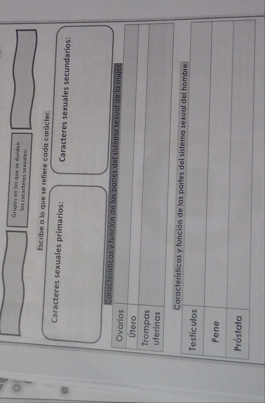 Grupos en los que se dividen 
los caracteres sexuales: 
Escribe a lo que se refiere cada carácter: 
Caracteres sexuales primarios: Caracteres sexuales secundarios: 
Características y función de las partes del sistema sexual de la mujer. 
Ovarios 
Útero 
Trompas 
uterinas