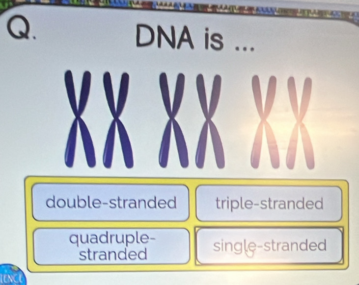 DNA is ...
double-stranded triple-stranded
quadruple-
stranded
single-stranded
LENCE