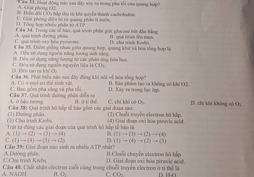 Hoạt động nào sau đây xảy ra trong pha tối của quang hợp?
A. Giải phóng O2.
B. Biến đồi CO_2 hấp thụ từ khí quyển thành cacbohidrat.
C. Giải phóng điện tử từ quang phân li nước.
D. Tổng hợp nhiều phân tử ATP.
Câu 34. Trong các tế bào, quá trình phân giải glucose bắt đầu bằng
A. quá trình đường phân. B. quá trình lên men.
C. quá trình oxy hóa pyruvate. D. chu trình Krebs.
Câu 35. Điểm giống nhau giữa quang hợp, quang khử và hóa tổng hợp là
A. Đều sử dụng nguồn năng lượng ánh sáng.
B. Đều sử dụng năng lượng từ các phản ứng hóa học.
C. Đều sử dụng nguồn nguyên liệu là CO_2.
D. Đều tạo ra khí O_2.
Câu 36. Phát biểu nào sau đây đúng khi nói về hóa tổng hợp?
A. Có ở mọi cơ thể sinh vật. B. Sản phẩm tạo ra không có khí O2.
C. Bao gồm pha sáng và pha tối. D. Xảy ra trong lục lạp.
Câu 37. Quá trình đường phân diễn ra
A. ở bào tương. B. ở ti thể. C. chỉ khi có O_2. D. chỉ khi không có O_2.
Câu 38: Quá trình hô hấp tế bào gồm các giai đoạn sau:
(1) Đường phân. (2) Chuỗi truyền electron hô hấp.
(3) Chu trình Krebs. (4) Giai đoạn oxi hóa piruvic acid.
Trật tự đúng các giai đoạn của quá trình hô hấp tế bào là
A. (1)to (2)to (3)to (4) B. (1)to (3)to (2)to (4)
C. (1)to (4)to (3)to (2) D. (1)to (4)to (2)to (3)
Câu 39: Giai đoạn nào sinh ra nhiều ATP nhất?
A.Đường phân. B.Chuỗi chuyền electron hô hấp
C.Chu trình Krebs D. Giai đoạn oxi hóa piruvic acid.
Câu 40. Chất nhận electron cuối cùng trong chuỗi truyền electron ở ti thể là
A. NADH. B. O_2. C. CO_2. D. H₃O