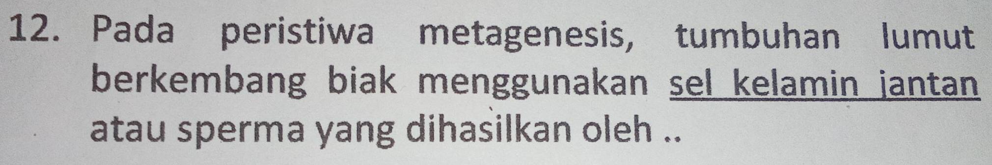 Pada peristiwa metagenesis, tumbuhan lumut 
berkembang biak menggunakan sel kelamin jantan 
atau sperma yang dihasilkan oleh ..