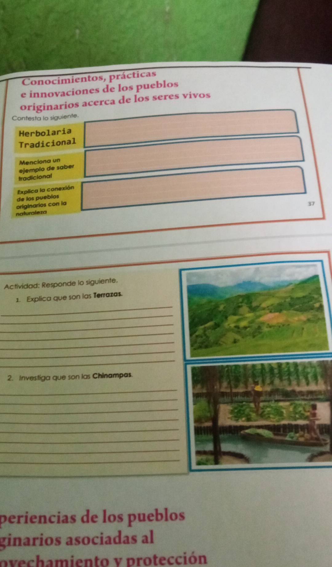 Conocimientos, prácticas 
e innovaciones de los pueblos 
originarios acerca de los seres vivos 
Contesta lo siguiente. 
Herbolaria 
Tradicional 
Menciona un 
ejemplo de saber 
tradicional 
Explica la conexión 
de los pueblos 
originarios con la 37
naturaleza 
Actividad: Responde lo siguiente. 
_ 
1. Explica que son las Terrazas. 
_ 
_ 
_ 
_ 
_ 
_ 
2. Investiga que son las Chinampas. 
_ 
_ 
_ 
_ 
_ 
_ 
_ 
_ 
periencias de los pueblos 
ginarios asociadas al 
ovechamiento v protección