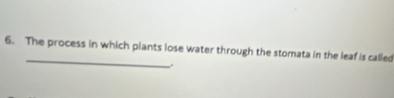 The process in which plants lose water through the stomata in the leaf is called 
.