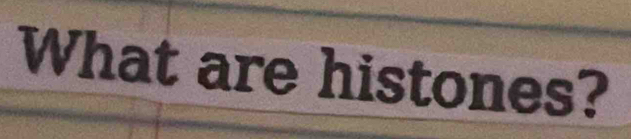 What are histones?