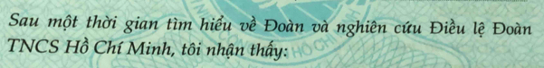 Sau một thời gian tìm hiểu về Đoàn và nghiên cứu Điều lệ Đoàn 
TNCS Hồ Chí Minh, tôi nhận thấy: