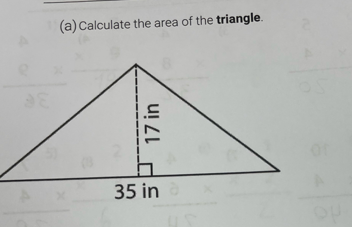 Calculate the area of the triangle.