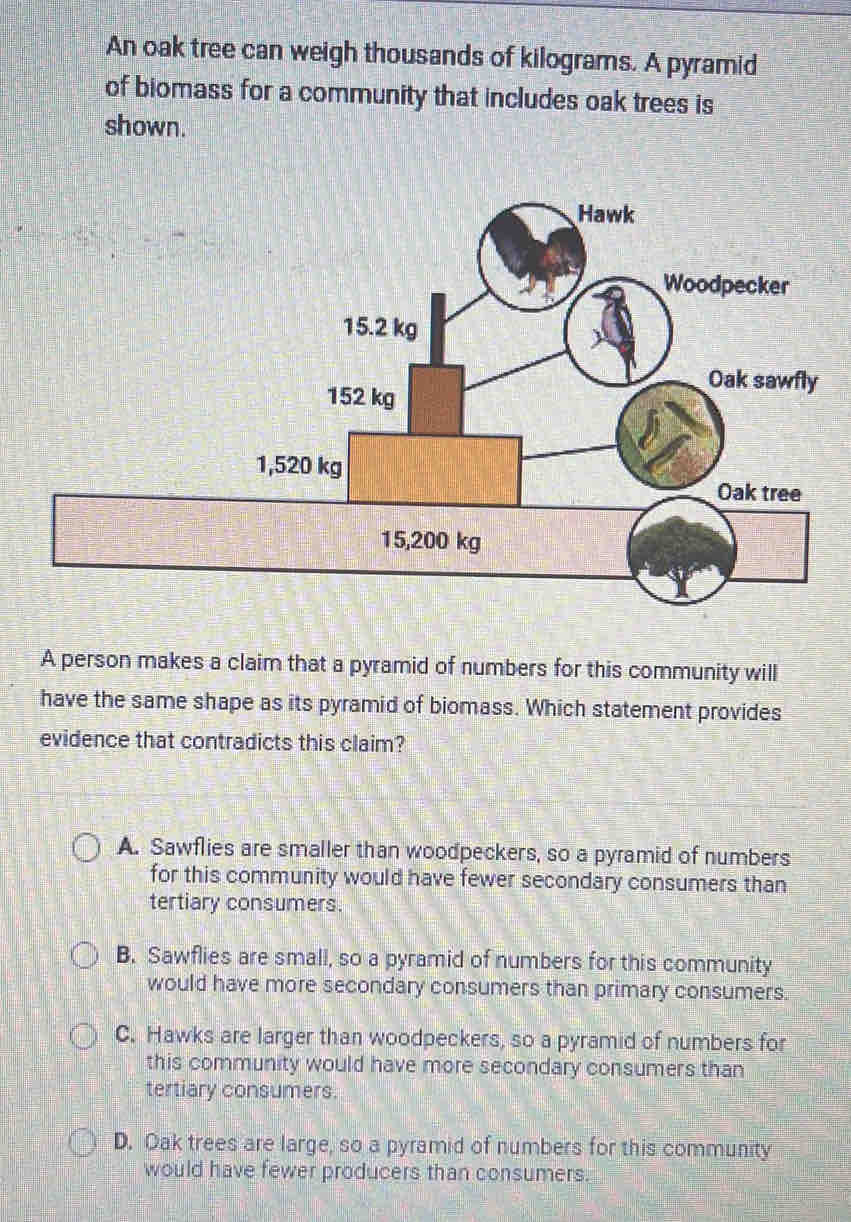 An oak tree can weigh thousands of kilograms. A pyramid of biomass for ...