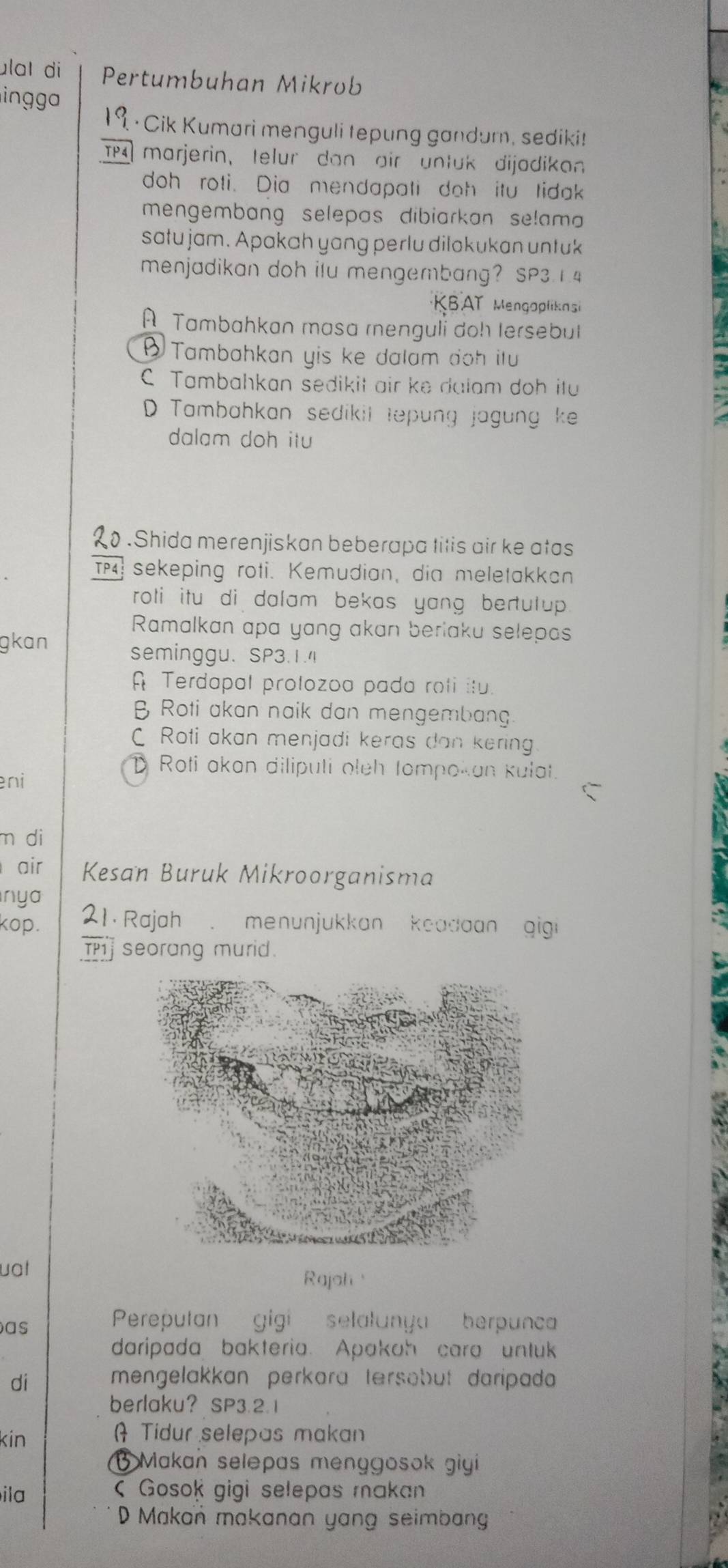 ulɑɪ di Pertumbuhan Mikrob
ingg
· Cik Kumari menguli tepung gandum, sediki!
IM marjerin, telur dan air untuk dijadikon
doh roti. Dia mendapati doh itu tidak
mengembang selepas dibiarkan selam 
satu jam. Apakah yang perlu dilokukan untuk
menjadikan doh ilu mengembang? SP314
KBAT Mengopliknsi
A Tambahkan masa renguli doh Iersebut
Đ Tambahkan yis ke dalam doh itu
C Tambahkan sedikit air ke dalam doh ity
D Tambahkan sedikil tepung jagung ke
dalam doh itu
2o .Shida merenjiskan beberapa titis air ke atas
TM sekeping roti. Kemudian, dia meletakkan
roti itu di dalam bekas yang bertulup .
Ramalkan apa yang akan beriaku selepas
gkan seminggu. SP3.1.4
A Terdapal prolozoa pada roli itu.
B Roti akan naik dan mengembang.
C Roti akan menjadi keras dan kering
D Roti akan dilipuli oleh tompokan kulat.
eni
m di
air Kesan Buruk Mikroorganisma
n y 
kop. 21. Rajah . menunjukkan keadaan gigi 
T seorang murid.
uat
Rajah
as
Pereputan gigi selalunya berpunca
daripada bakteria. Apakah cara untluk
di mengelakkan perkara tersabut daripada
berlaku？ SP3.2.1
kin  Tidur selepas makan
Makan selepas menggosok giyi
ila < Gosok gigi selepas makan
 D Makan makanan yang seimban