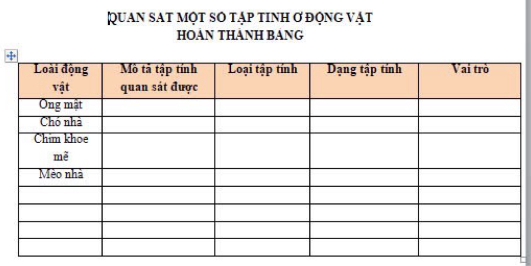 Quan sAT mỌT SÔ tập tInh Ở độnG vật 
HOẢN THẢNH BANG 
+