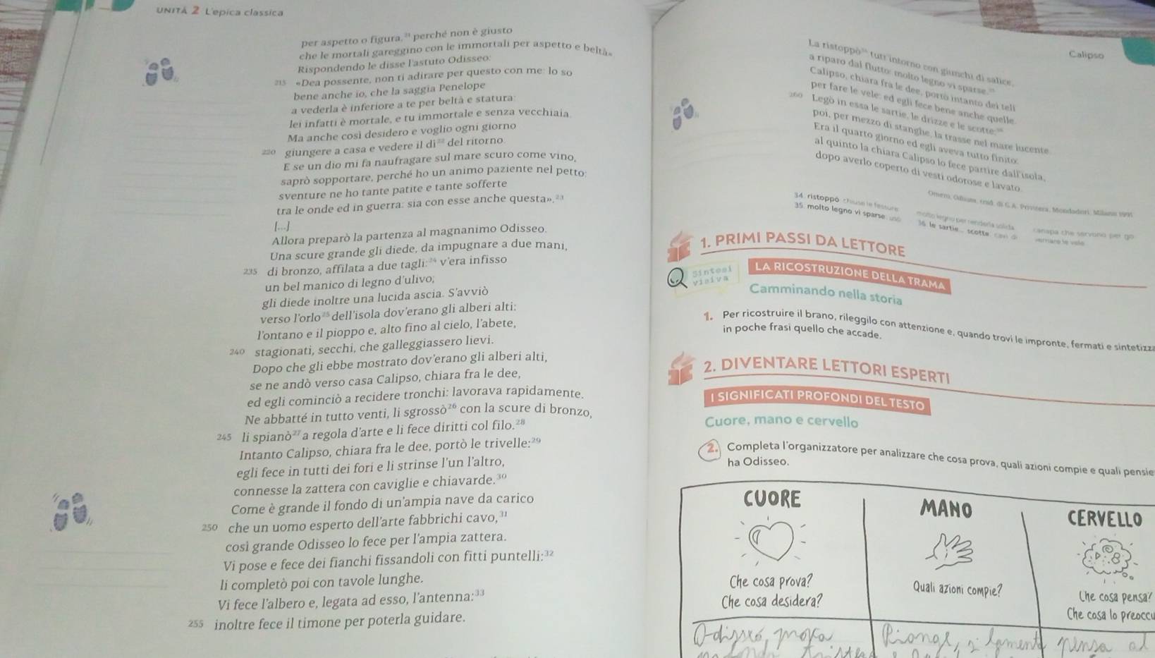 unitá 2 L'epica classica
per aspetto o figura.'' perché non è giusto
che le mortali gareggino con le immortali per aspetto e beltà
Rispondendo le disse l'astuto Odisseo
Calipso
La ristoppò''' tutr intorno con giunchi di sálice.
a riparo dal flutto: molto legno vi sparse.
215 «Dea possente, non ti adirare per questo con me: lo so
Calipso, chiara frá le dee, portó intanto del telí
bene anche io, che la saggia Penelope
per fare le vele: ed egli fece bene anche quelle
a vederla è inferiore a te per beltà e statura
16 Legò in essa le sartie, le drizze e le scotte:'''
lei infatti è mortale, e tu immortale e senza vecchiaia
Ma anche così desidero e voglio ogni giorno
poi, per mezzo di stanghe, la trasse nel mare lucente
Era il quarto giorno ed egli aveva tutto finito:
giungere a casa e vedere . 1di^(22) del ritorno
al quinto la chiara Calipso lo fece partire dallísola,
E se un dio mi fa naufragare sul mare scuro come vino,
dopo averlo coperto di vesti odorose e lavato
saprò sopportare, perché ho un animo paziente nel petto:
sventure ne ho tante patite e tante sofferte
tra le onde ed in guerra: sia con esse anche questa»,
Omeni, Oduuna, rnid. di G. A. Privitera, Mondadori, Milans 1991
34. ristoppó chuse le fessure molto legno per rendería solirta
35. molto legno vì sparse und 36 le sartie. scotte, can d
[...]
Allora preparò la partenza al magnanimo Odisseo.
canapa che servono pet go
Una scure grande gli diede, da impugnare a due mani,
1. PRIMI PASSI DA LETTORE
235 di bronzo, affilata a due tagli:” v'era infisso
LA RICOSTRUZIONE DELLA TRAMA
un bel manico di legno d'ulivo;
Camminando nella storia
gli diede inoltre una lucida ascia. S’avviò ad
verso l'orlo* dell’isola dov'erano gli alberi alti:
l'ontano e il pioppo e, alto fino al cielo, l'abete,
1. Per ricostruire il brano, rileggilo con attenzione e, quando trovi le impronte, fermati e sintetiz
in poche frasi quello che accade.
240 stagionati, secchi, che galleggiassero lievi.
Dopo che gli ebbe mostrato dov'erano gli alberi alti,
se ne andò verso casa Calipso, chiara fra le dee,
2. DIVENTARE LETTORI ESPERTI
ed egli cominciò a recidere tronchi: lavorava rapidamente.
I SIGNIFICATI PROFONDI DEL TESTO
Ne abbatté in tutto venti, lì sgrossò²é con la scure di bronzo, Cuore, mano e cervello
245 li spianò² a regola d'arte e li fece diritti col filo.²
Intanto Calipso, chiara fra le dee, portò le trivelle:
Completa l'organizzatore per analizzare che cosa prova, qualí azioni coie
egli fece in tutti dei fori e li strinse l’un l’altro, ha Odisseo.
connesse la zattera con caviglie e chiavarde.
Come è grande il fondo di un'ampia nave da carico 
250 che un uomo esperto dell’arte fabbrichi cavo,”
cosi grande Odisseo lo fece per l'ampia zattera.
Vi pose e fece dei fianchi fissandoli con fitti puntelli:
li completò poi con tavole lunghe.
a?
Vi fece l'albero e, legata ad esso, l'antenna: 
255 inoltre fece il timone per poterla guidare.
ci