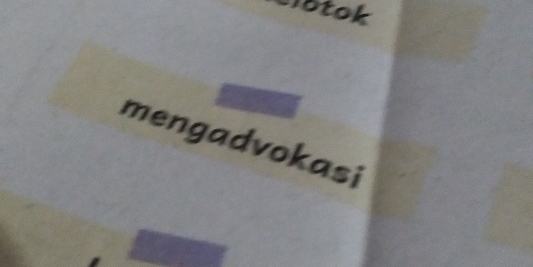 lotok 
mengadvokasi