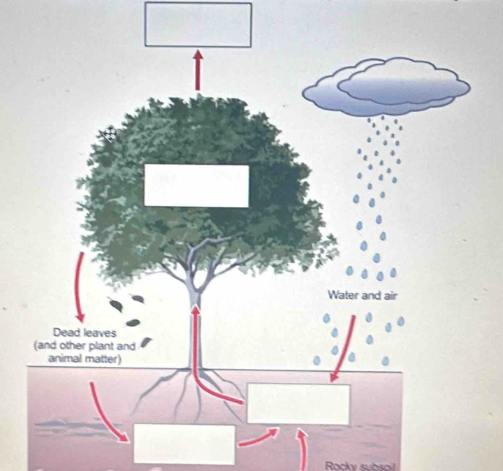 Rocky subsoil