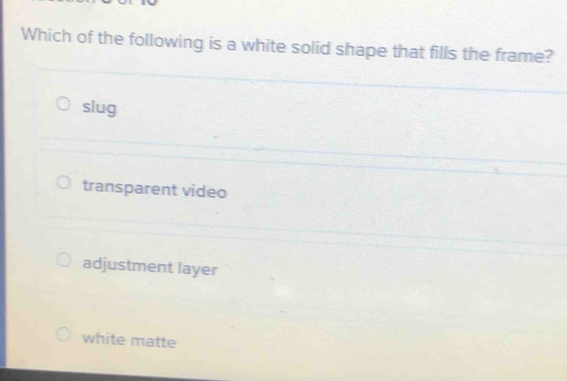 Which of the following is a white solid shape that fills the frame?
slug
transparent video
adjustment layer
white matte