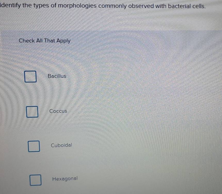 Identify the types of morphologies commonly observed with bacterial cells.
Check All That Apply
Bacillus
Coccus
Cuboidal
Hexagonal