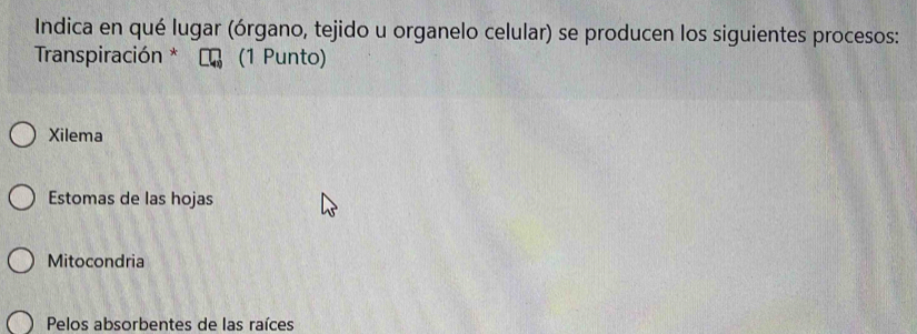 Indica en qué lugar (órgano, tejido u organelo celular) se producen los siguientes procesos:
Transpiración * (1 Punto)
Xilema
Estomas de las hojas
Mitocondria
Pelos absorbentes de las raíces