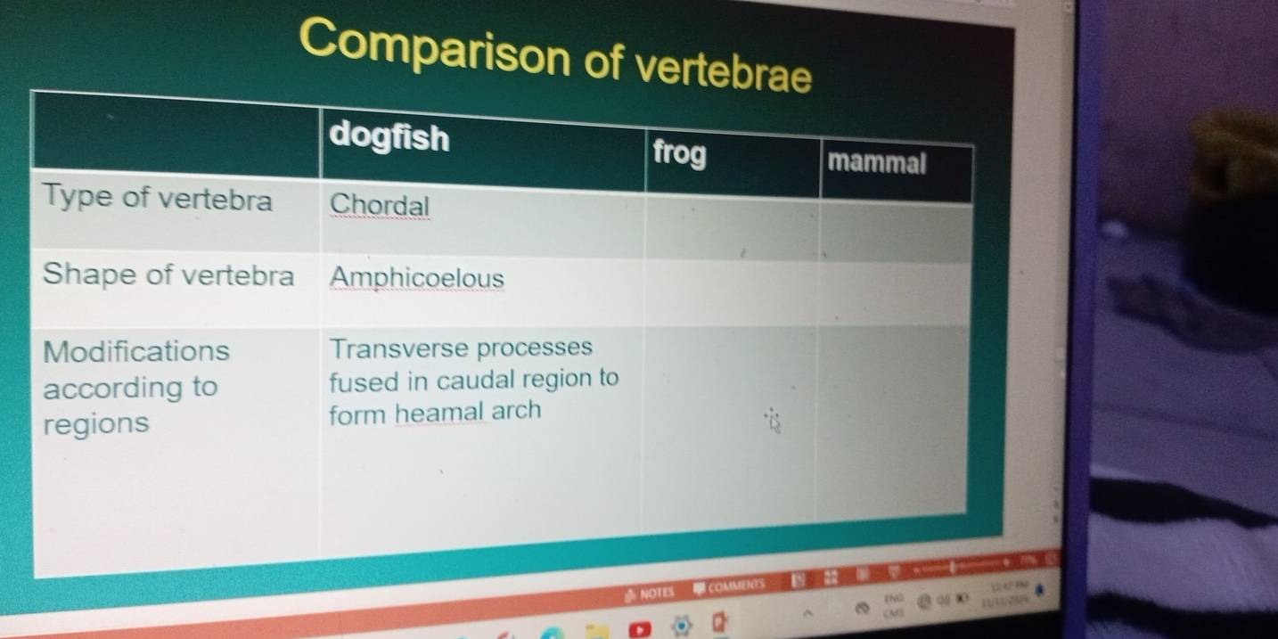 Comparison of vert