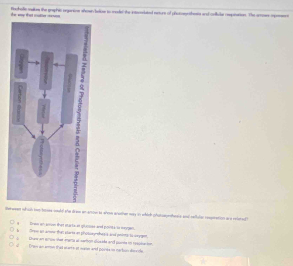 Rochelle makes the graphic organizer shown below to model the interrelated nature of photosynthesia and cellular respination. The arrows rprssent
the way that matter moves.
Between which two boxes could she draw an arrow to show another way in which photosynthesis and cellular respiration are related?
a Draw an anrow that starts at glucose and points to oxygen.
b Draw an arrow that starts at photosynthesis and points to oxygen.
Draw an arrow that starts at carbon dioxide and points to respiration.
d Draw an arrow that starts at water and points to carbon dioxide.