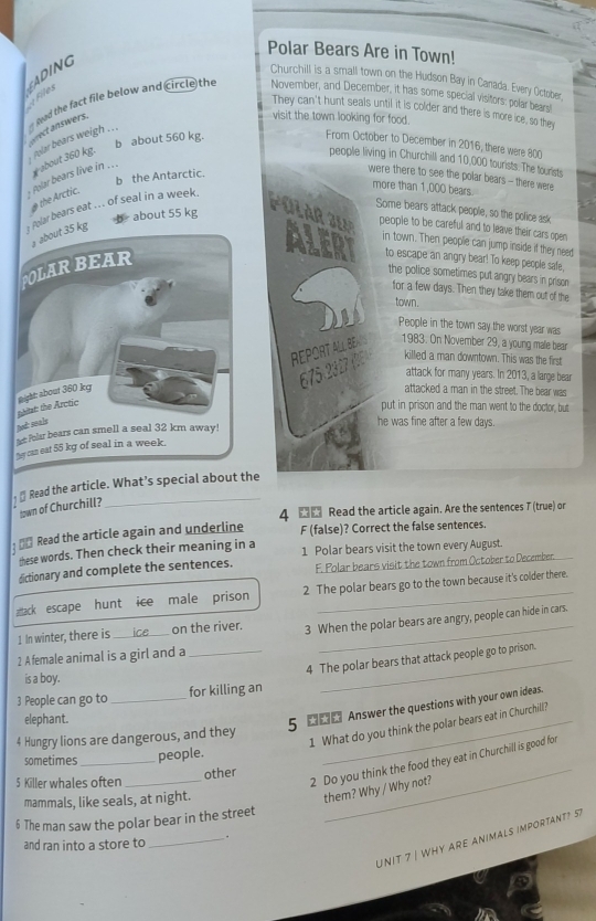 Polar Bears Are in Town!
SADING
Churchill is a small town on the Hudson Bay in Canada. Every October
a Files
They can't hunt seals until it is colder and there is more ice, so they
visit the town looking for food.
folar bears weigh . . . = Read the fact file below and circle the November, and December, it has some speciall visitors: polar bears!
rect answers.
W about 360 kg. b about 560 kg
From October to December in 2016; there were 800
people living in Churchill and 10,000 tourists. The tourists
polar bears live in . . .
b the Antarctic.
were there to see the polar bears - there were
the Arctic.
more than 1,000 bears.
Polar bears eat ... of seal in a week
Some bears attack people, so the police ask
about 55 kg
OLARSU people to be careful and to leave their cars open
kg
in town. Then people can jump inside if they need
to escape an angry bear! To keep people safe.
the police sometimes put angry bears in prison 
for a few days. Then they take them out of the
S town.
People in the town say the worst year was
REPORT ALL BEN 1983. On November 29, a young male bea
675.2327 ( killed a man downtown. This was the first
attack for many years. In 2013, a large bear
attacked a man in the street. The bear was
put in prison and the man went to the doctor, but
he was fine after a few days.
↑ [ Read the article. What’s special about the
town of Churchill?
4  Read the article again. Are the sentences T (true) or
:   Read the article again and underline F (false)? Correct the false sentences.
these words. Then check their meaning in a 1 Polar bears visit the town every August.
dictionary and complete the sentences. F. Polar bears visit the town from October to December_
atack escape hunt ice male prison 2 The polar bears go to the town because it's colder there.
1 In winter, there is _on the river. 3 When the polar bears are angry, people can hide in cars.
2 A female animal is a girl and a
3 People can go to __for killing an 4 The polar bears that attack people go to prison.
is a boy.
elephant.
5  Answer the questions with your own ideas.
4 Hungry lions are dangerous, and they
1 What do you think the polar bears eat in Churchill?
_
sometimes_ people.
2 Do you think the food they eat in Churchill is good for
5 Killer whales often _other
mammals, like seals, at night.
them? Why / Why not?
6 The man saw the polar bear in the street
UNIT 7 | WHY arE animals important? 5
and ran into a store to_ .