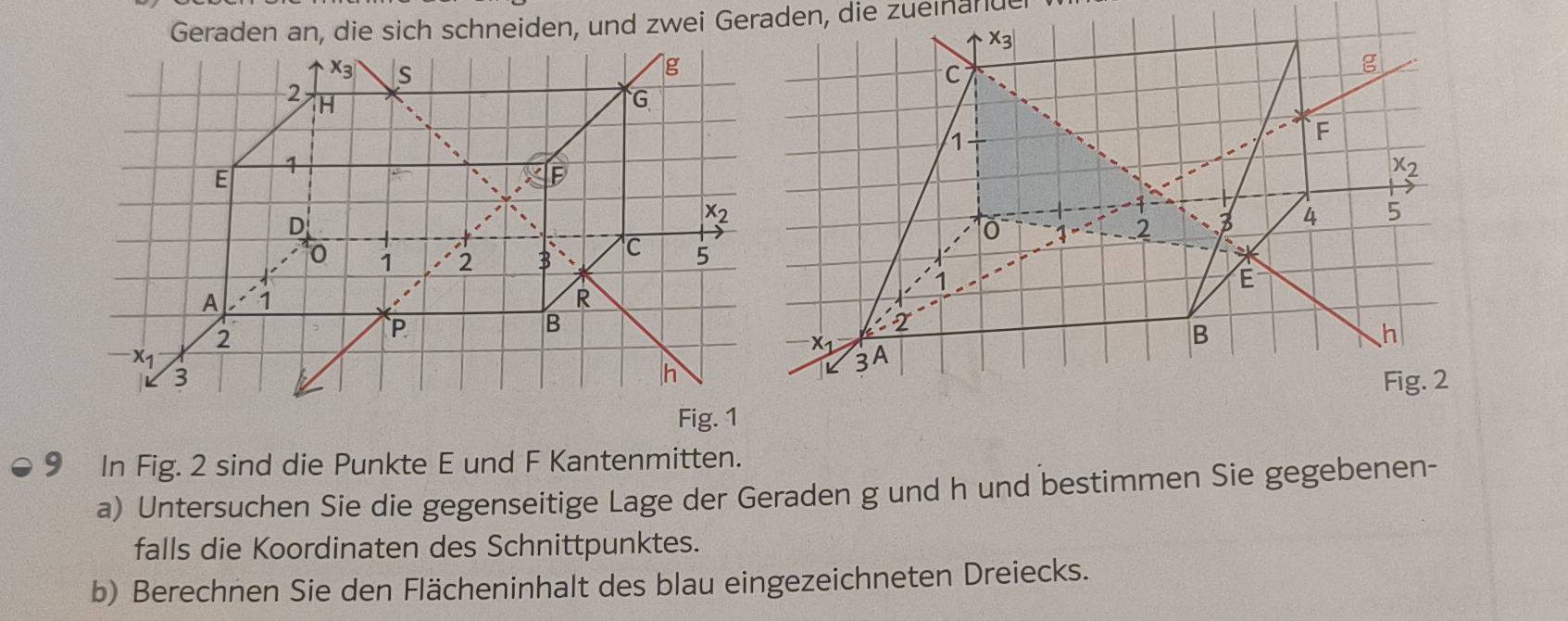 Geraden an, die sich schneiden, und zwei Geraden, die zueinande
9 In Fig. 2 sind die Punkte E und F Kantenmitten.
a) Untersuchen Sie die gegenseitige Lage der Geraden g und h und bestimmen Sie gegebenen-
falls die Koordinaten des Schnittpunktes.
b) Berechnen Sie den Flächeninhalt des blau eingezeichneten Dreiecks.